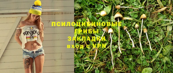 амф Алзамай