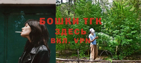 крисы Абаза
