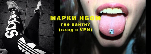 гашик Алексин