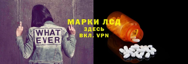 крисы Абаза