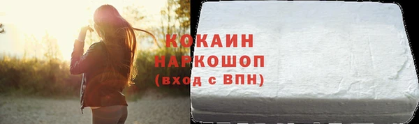 гашик Алексин