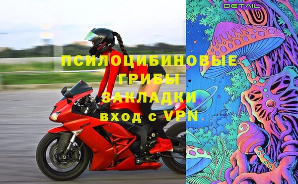 крисы Абаза
