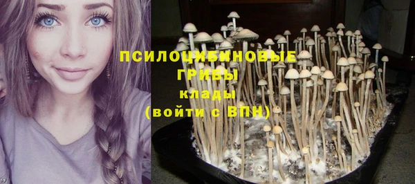 винт Абинск