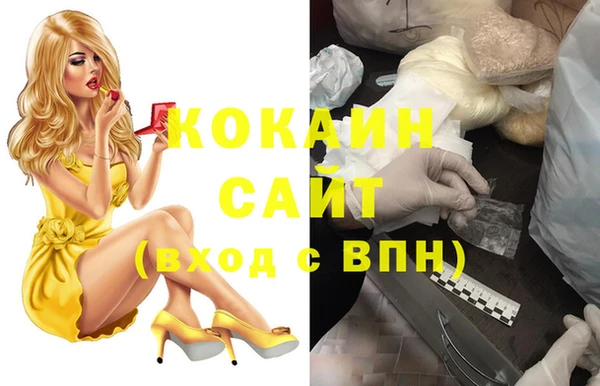 крисы Абаза