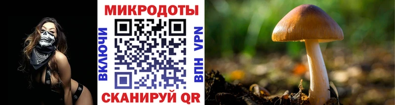хочу наркоту  Северская  Галлюциногенные грибы Magic Shrooms 